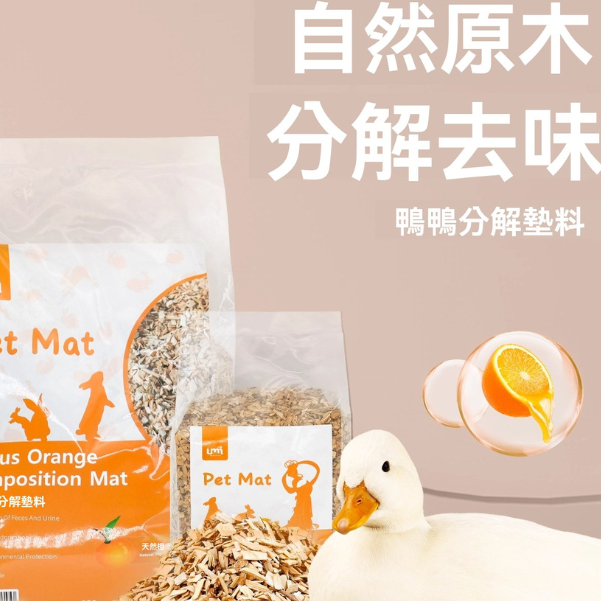 [Xiao Embarrassing Home] Cole Duck Litter Decomposing Dung Pissing ...