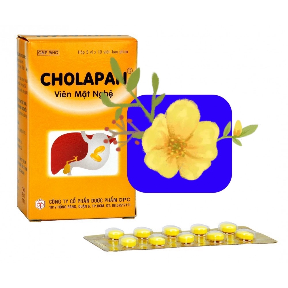 Cholapan Turmeric Tablets Support Stomach Ulcers, Duodenum