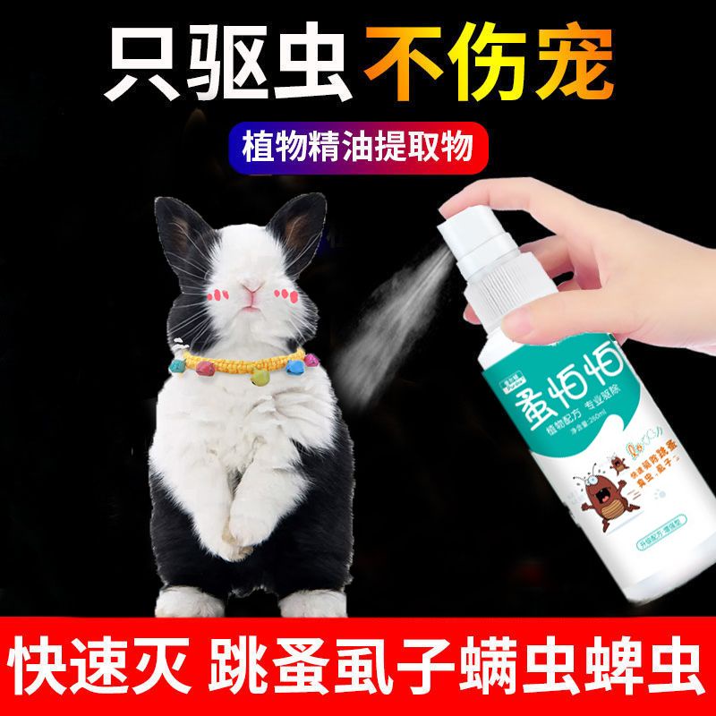 Special rabbit insecticide spray removing lice fleas in vitro rabbit ...