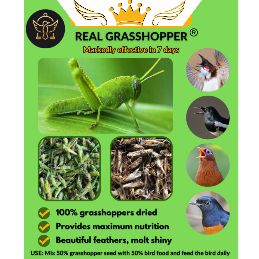 Locust seeds for ornamental birds - 100% made of grasshopper - Ricky ...