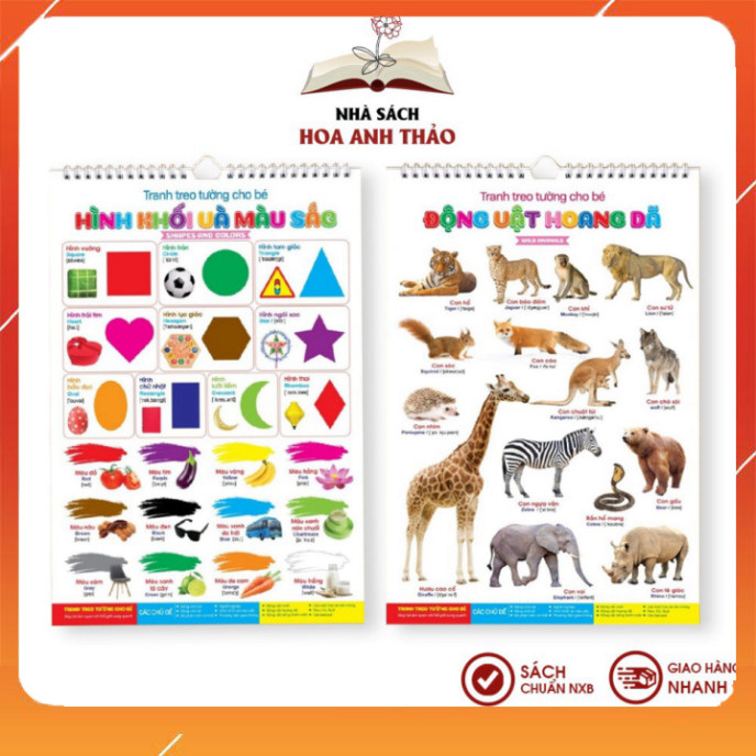 Toys - Viet Ha bilingual English-Vietnamese wall painting set with 14 ...