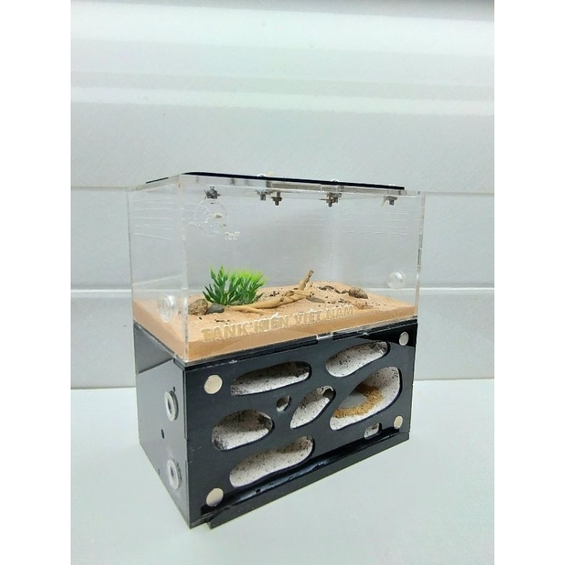 Ant Farming Box - D02 - Ant farm - Formicarium - Ant Farming Box - Ant ...