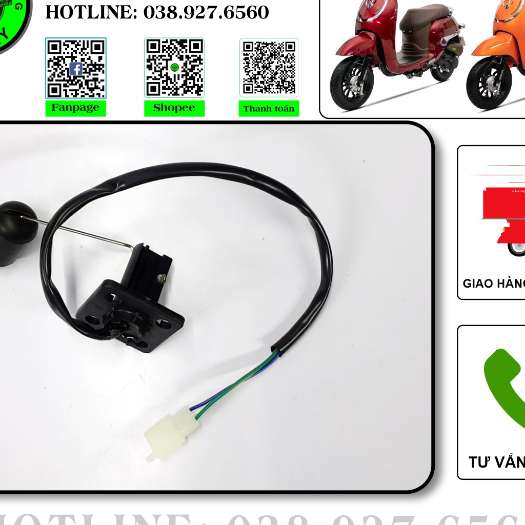 Giorno Gasoline Float 50cc / Gionro 2023 / HSV250cc (50cc Gasoline