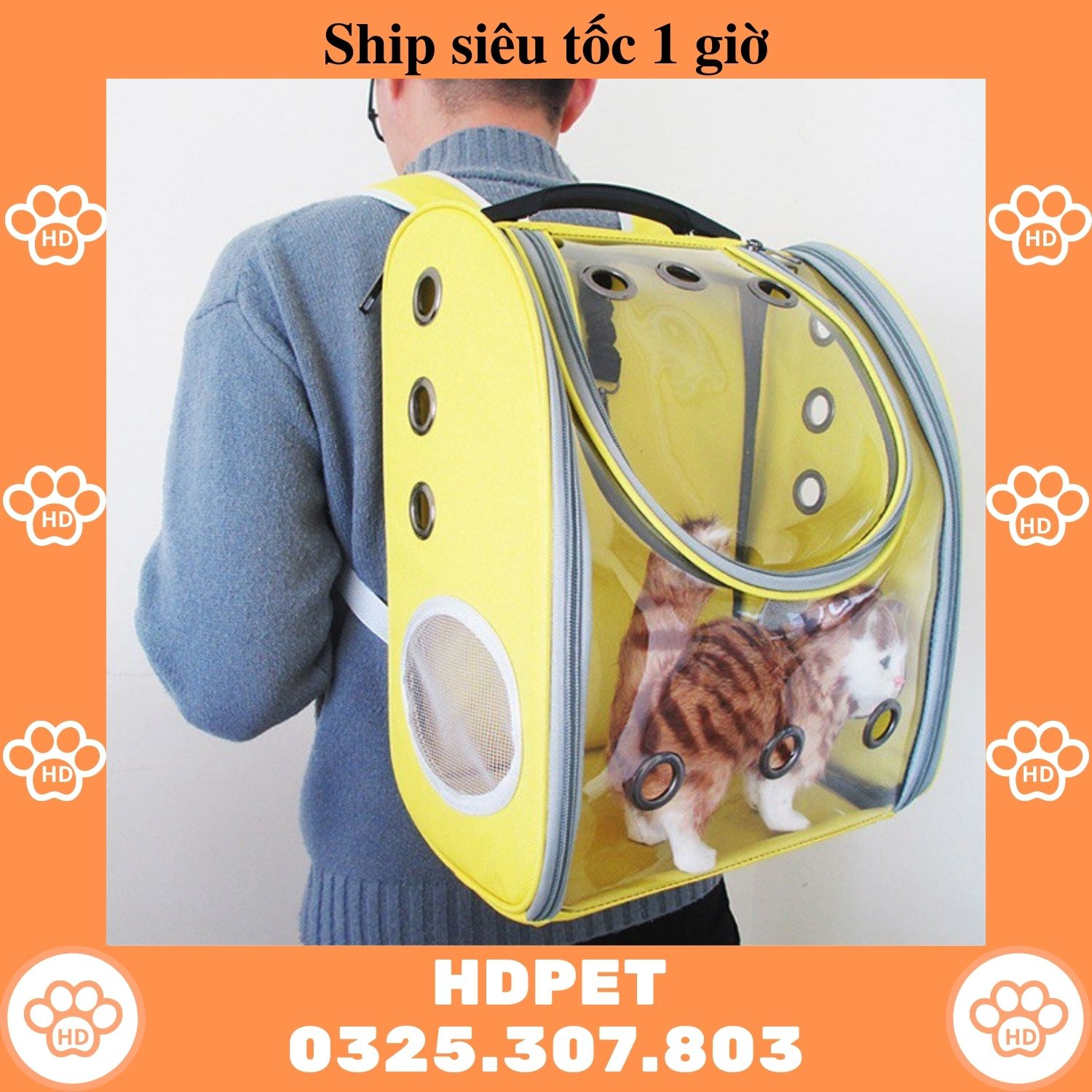 Cat Transport Backpack, Transport Bag, Large Rectangular Transparent