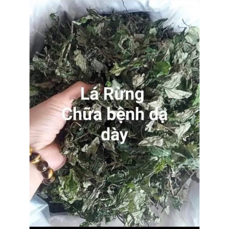 100g Wild bitter leaves (rice leaves) grade 1, northwest (medicinal ...