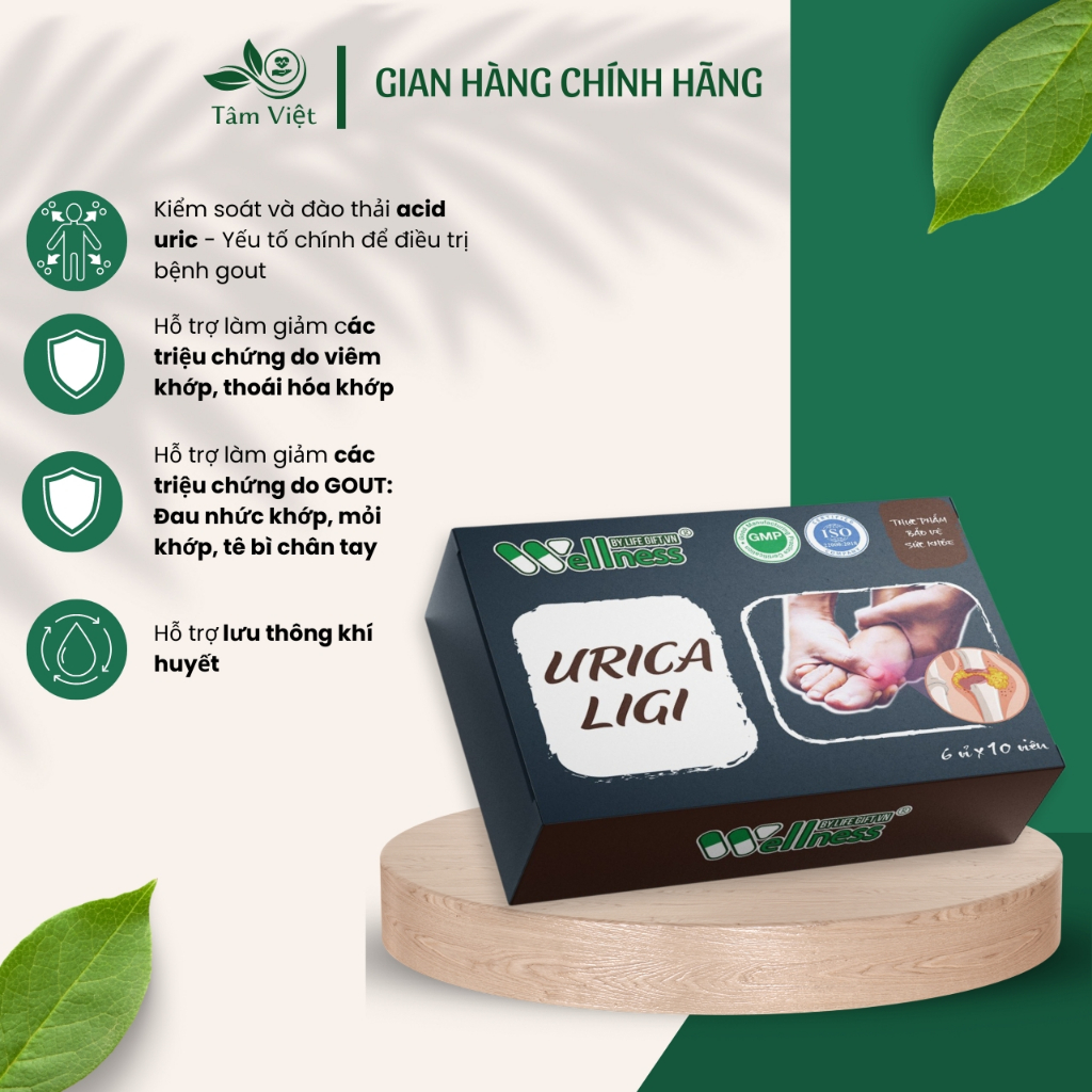 Food Supports URICA LIGI GOUT, Helps Relieve Symptoms Caused By GOUT