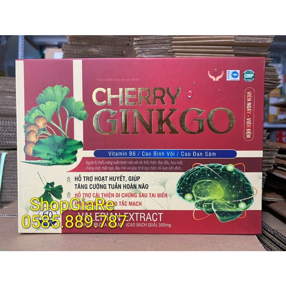 Cherry Ginkgo Supplement Nutrients For The Brain, Active Blood