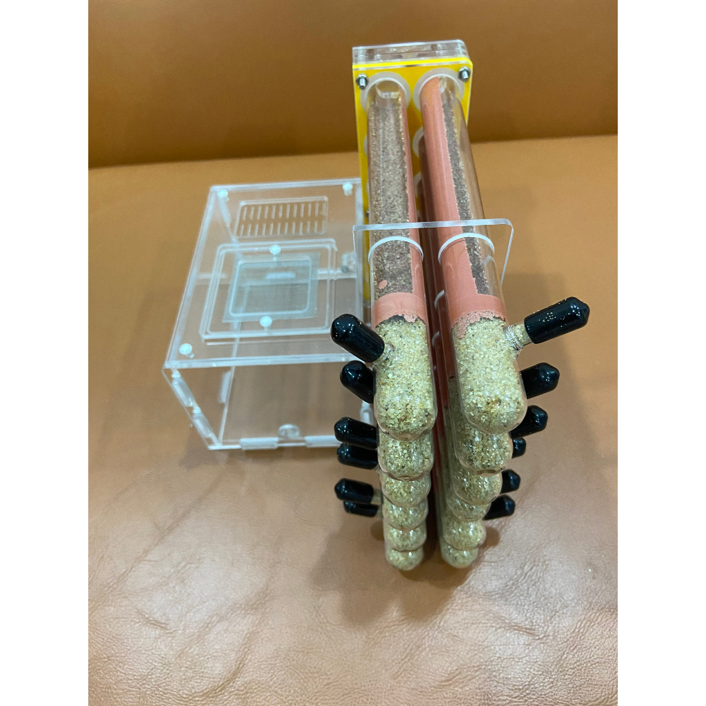 Test Tubes / Ants / Ants / Ant Farming Box 12 Test Tubes With Diameter