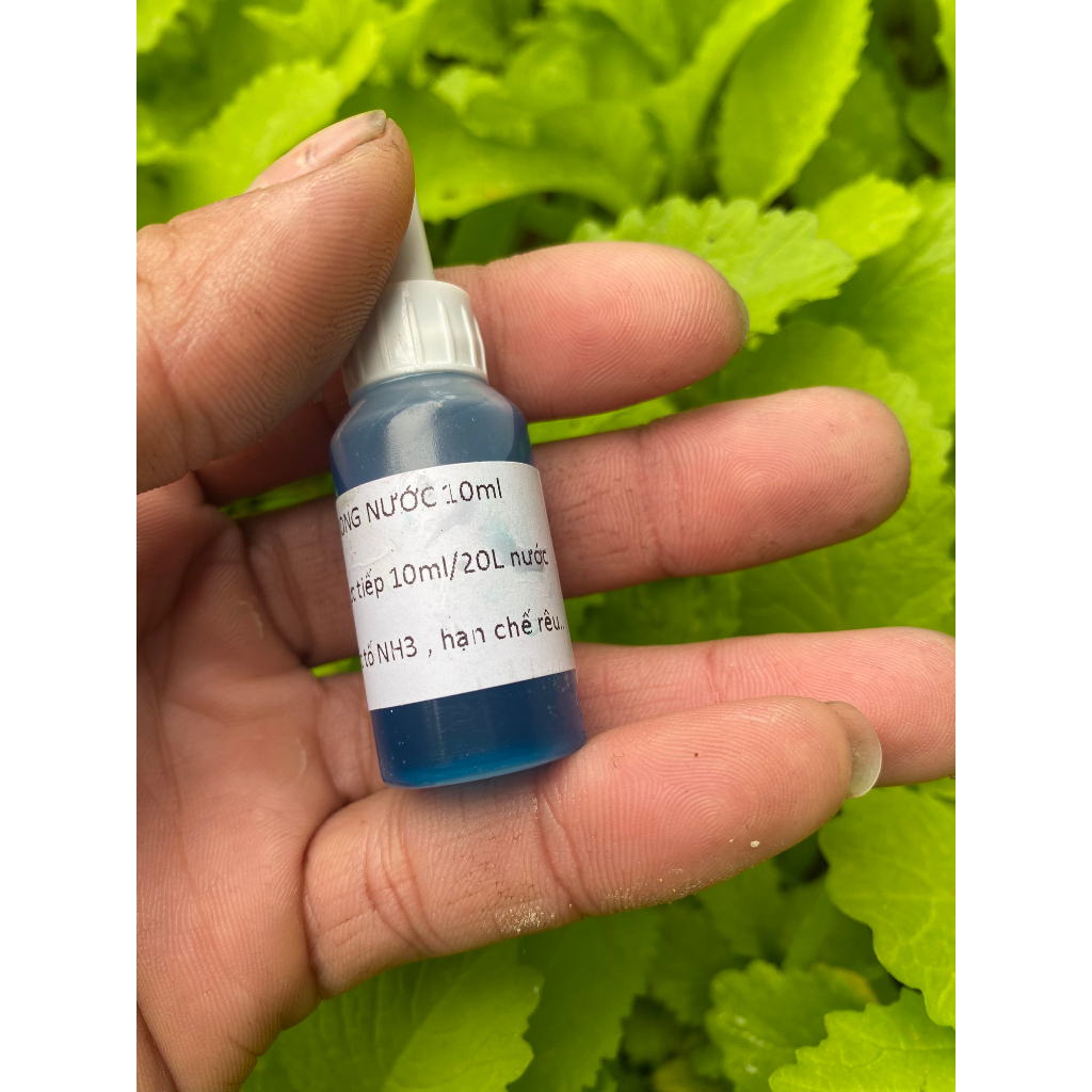 Probiotics Made In Water, Kill Algae And Diseases In The Aquarium