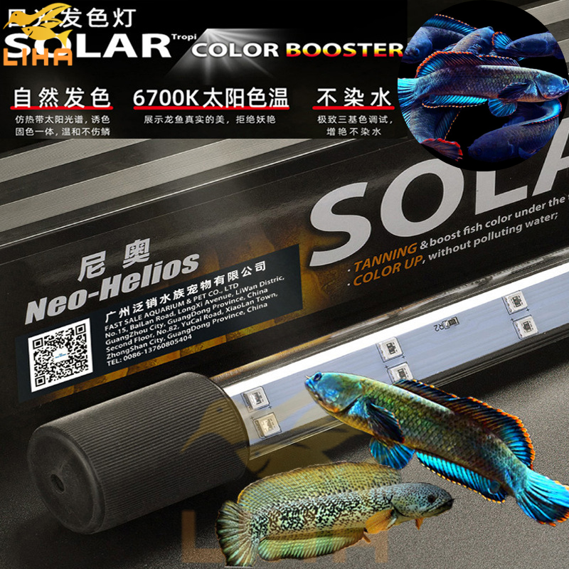 [Speed] Neohelios Slar RGB Led Light For Snakehead Arowanas Arowana Tanning Led Shopee