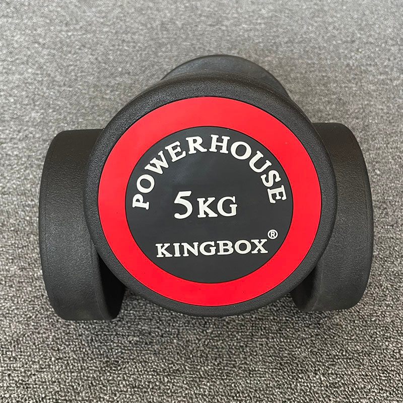 King box home discount gym