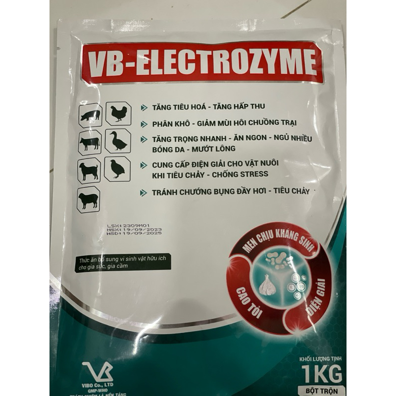 [HT] Garlic + Electrolyte + HighGrade 1kg Antibiotic Powder (VB
