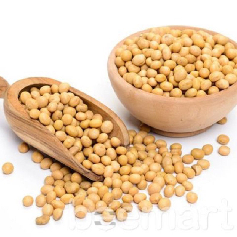 Soybeans (Soybeans) Shopee Singapore