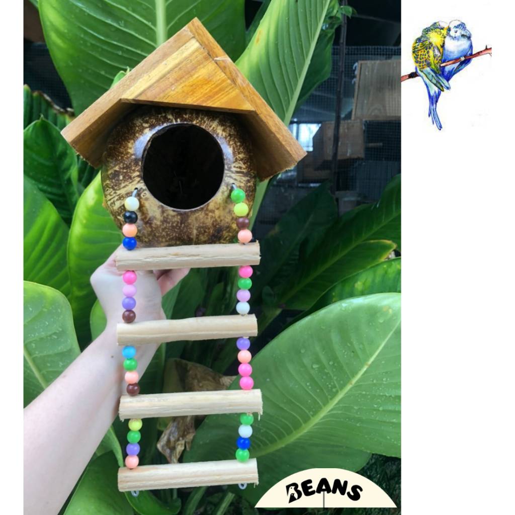 Coconut shell wooden nest with stairs for small birds, squirrels ...