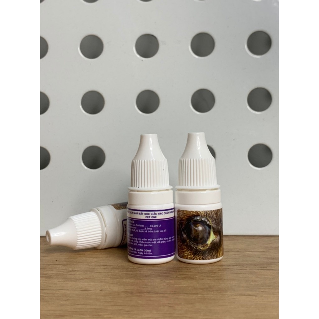 Eye Drops For Cats And Dogs With Cats That Are Cataract 