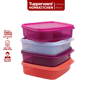 Tupperware Tup Tiffin 550ml Container Lunch Box Set (4) Suitable Hot & Cold  Food