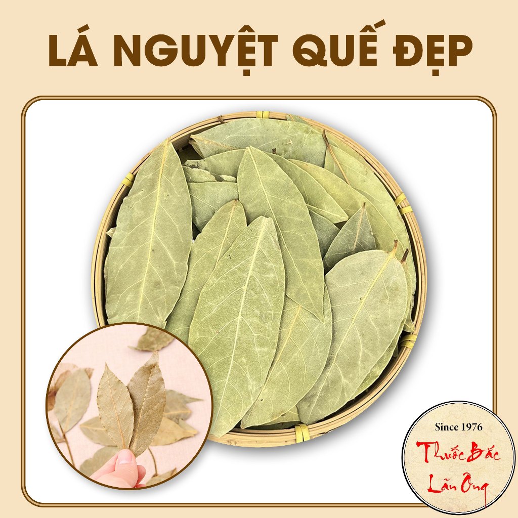 10 Lucky Bay leaf Sigils, Laurel Leaves Write Wishes, Make Spells