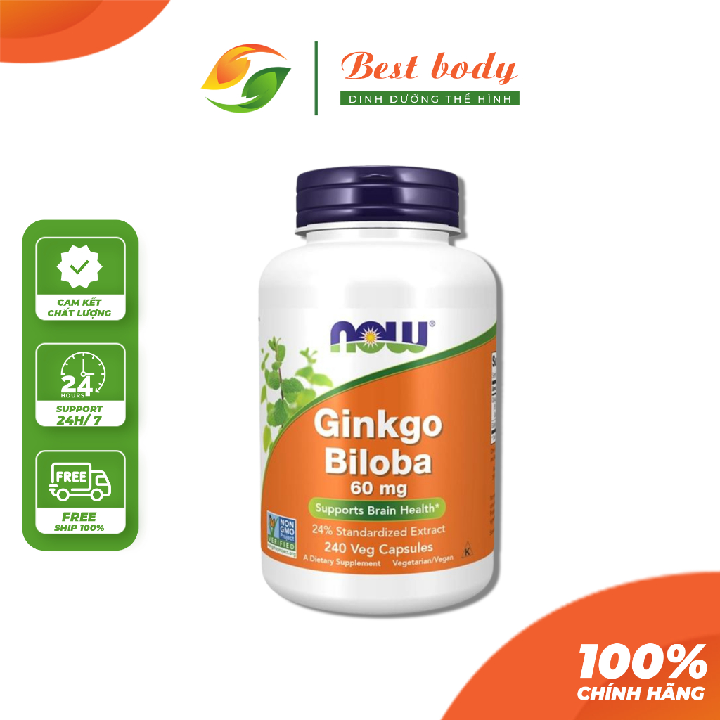 Ginkgo Biloba Stress Relief Stress Improve Memory Now Ginkgo Biloba 60mg (240 Tablets) Shopee