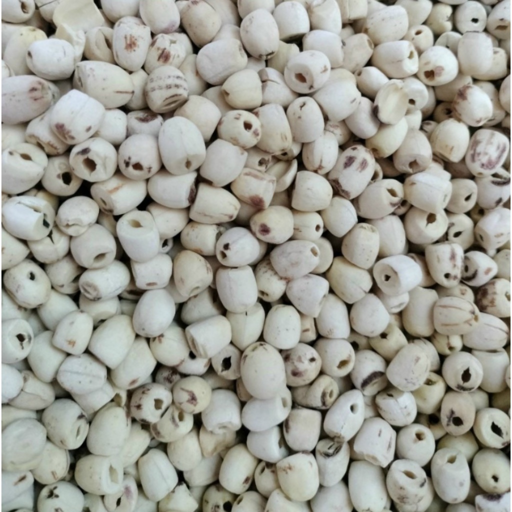 Hue Lotus Seeds Are Small, Dried, Beautiful, 200g / 500g / 1kg | Shopee ...