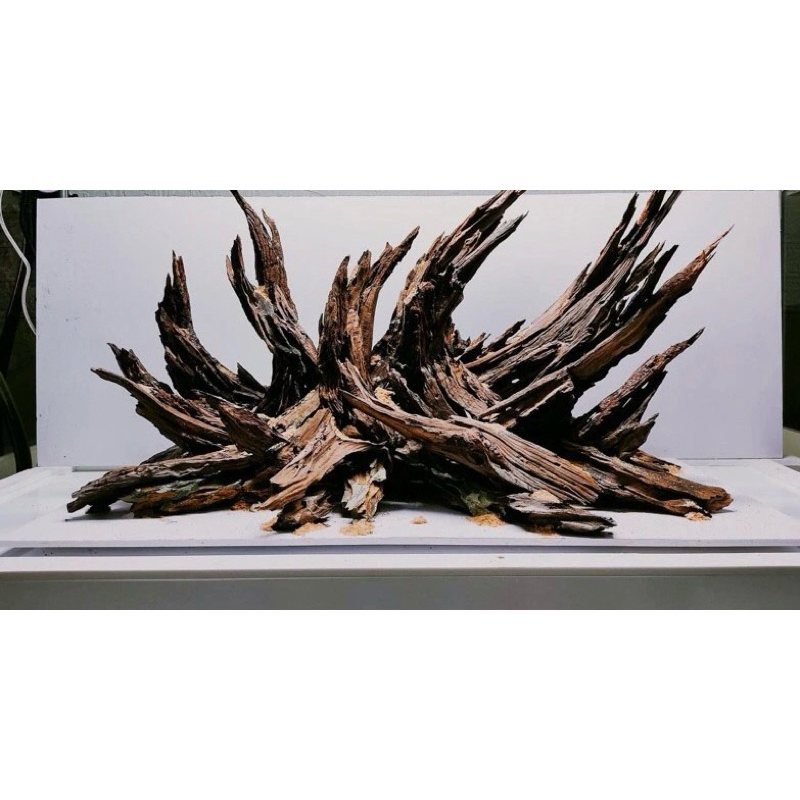 Driftwood Stone Branches Stone Moths Stone Hunting Specialized For Aquariums Very