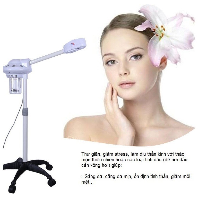 Lost the Secret to Luxurious Steam Facials? This Device Works Like a Total Game Changer