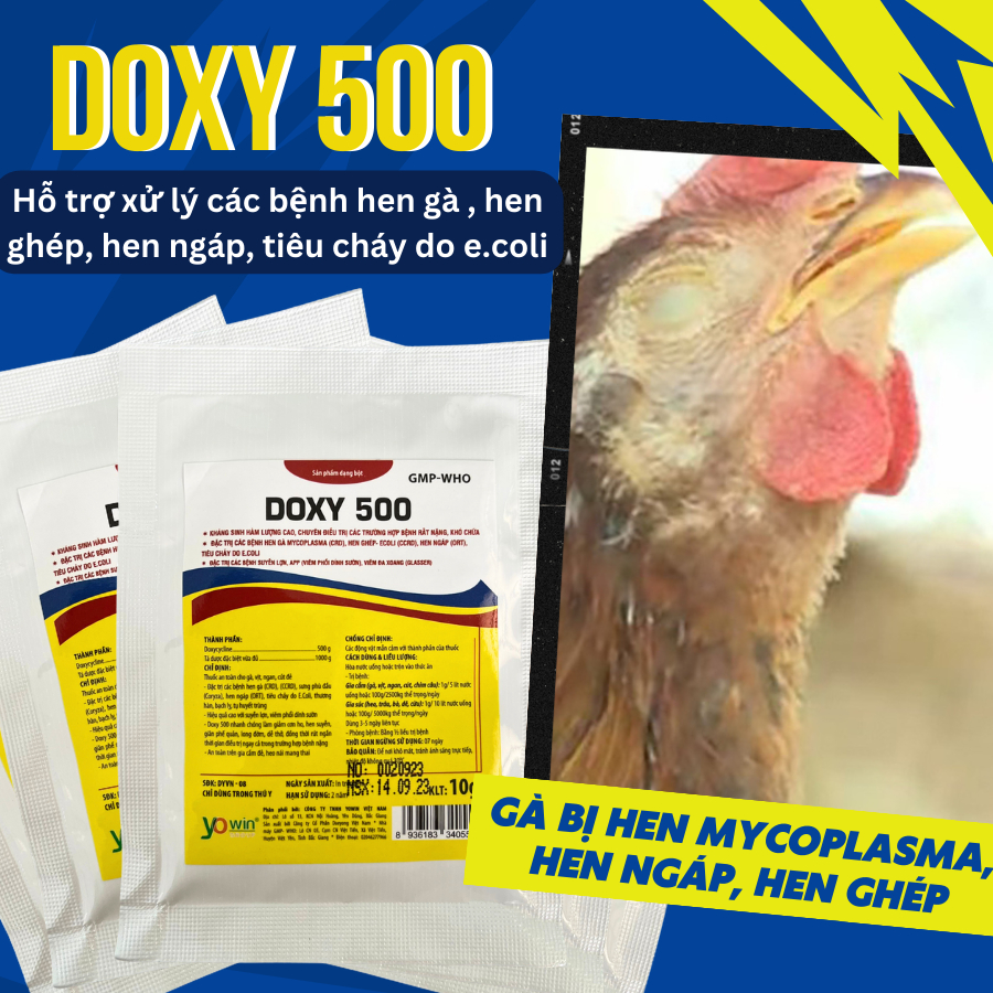 Special Treatment Of Asthma, Wheezing For Iced Chickens (50 Asthma 10g