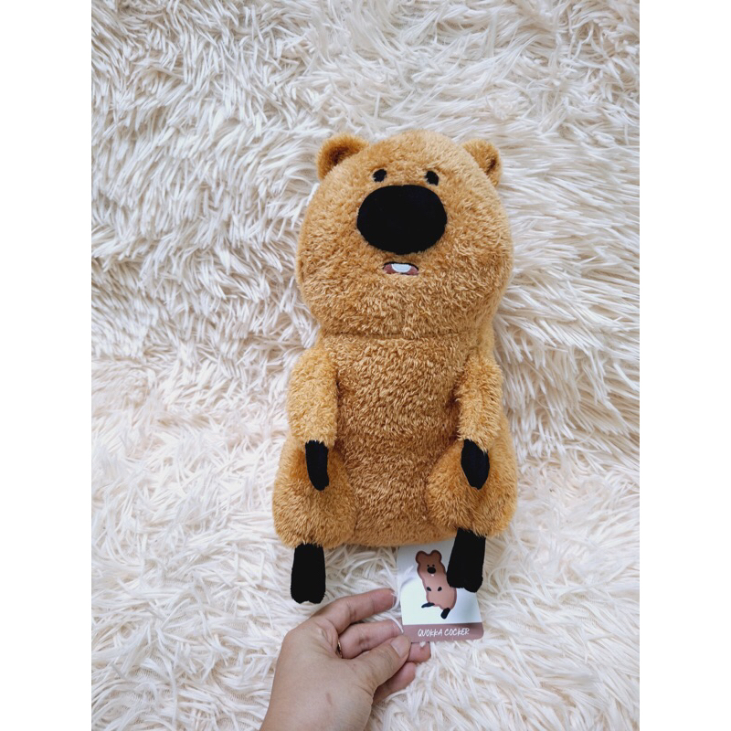 Korean stuffed bear clearance