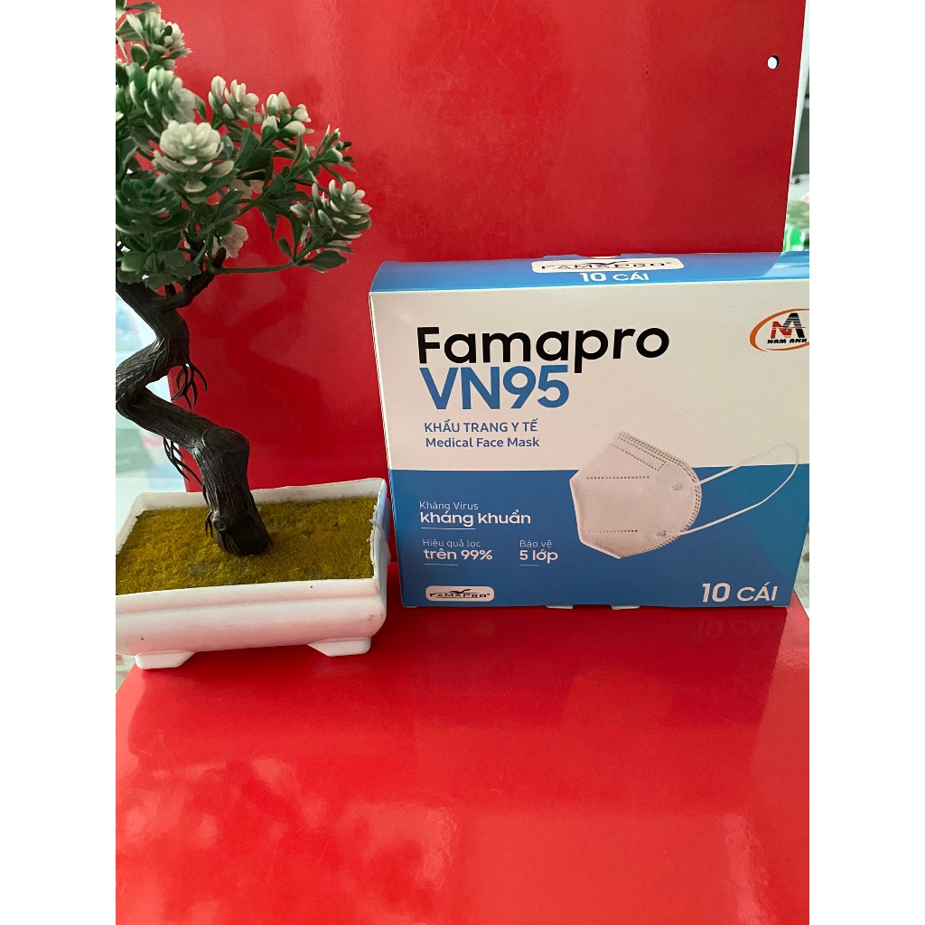 Famapro VN95 NAM ANH Medical Mask Box Of 10 Shopee Singapore