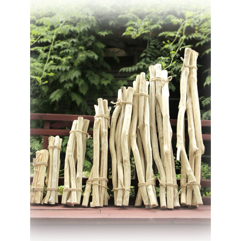 Buy tree branch Products At Sale Prices Online - September 2026 ...