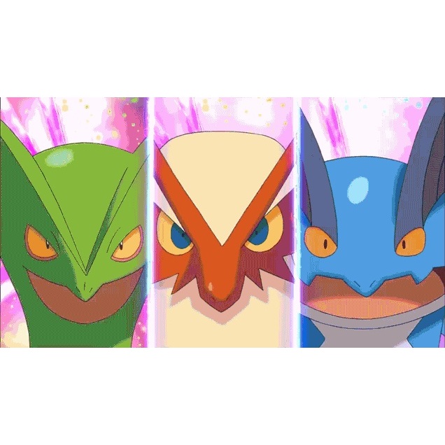 Blaziken swampert and sceptile plush clearance