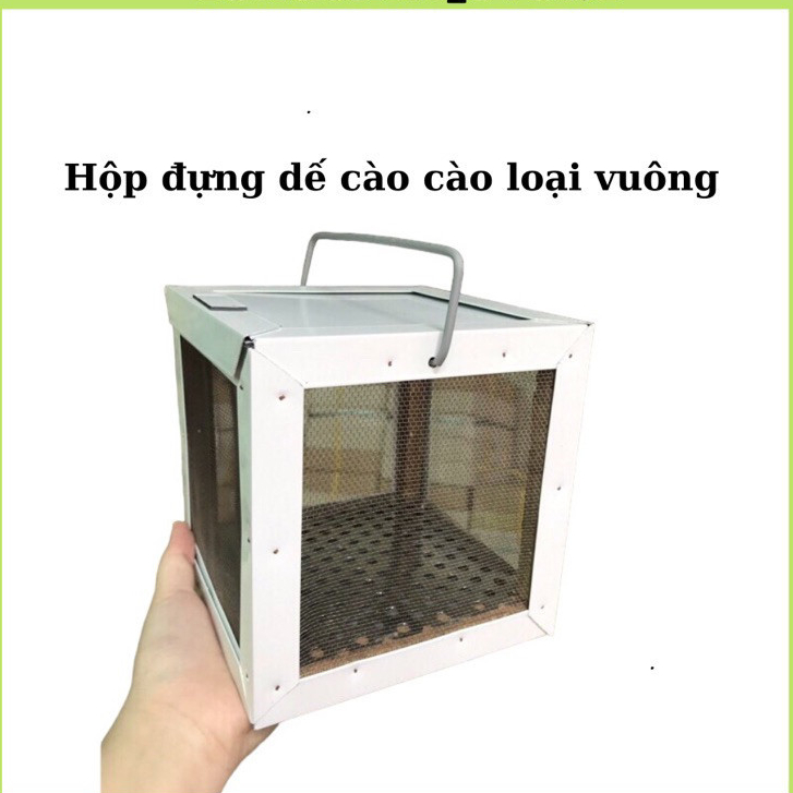 Square cricket locust box 15x15x15 made of iron and aluminum with ...