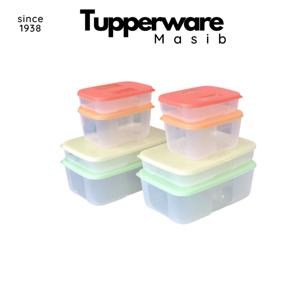 Freezermate Colorful Tupperware Freezer Plastic Box Set (Set of 8 Boxes ...