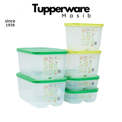 Ventsmart 6 Cool Storage Tupperware Box Set with Respiratory Button ...