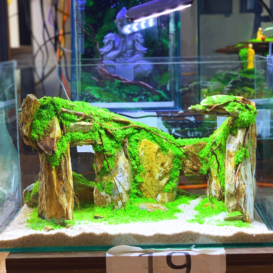 fish tank accessories singapore 13 Pieces Aquarium Decorations Kit, Decorations Set, Small Resin Castle and Rockery Betta Fish Cave Hideout, Artificial Plastic Plants Fish & Aquarium Supplies |