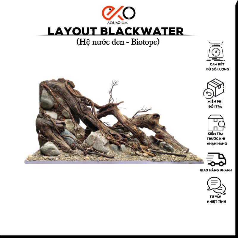 Layout Blackwater Biotope | Get Layout As Required | Shopee Singapore
