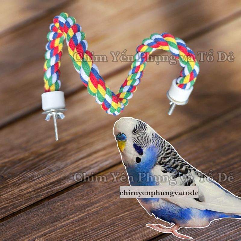 View of Colorful rope that can be bent to styled for Parrots to climb and ...