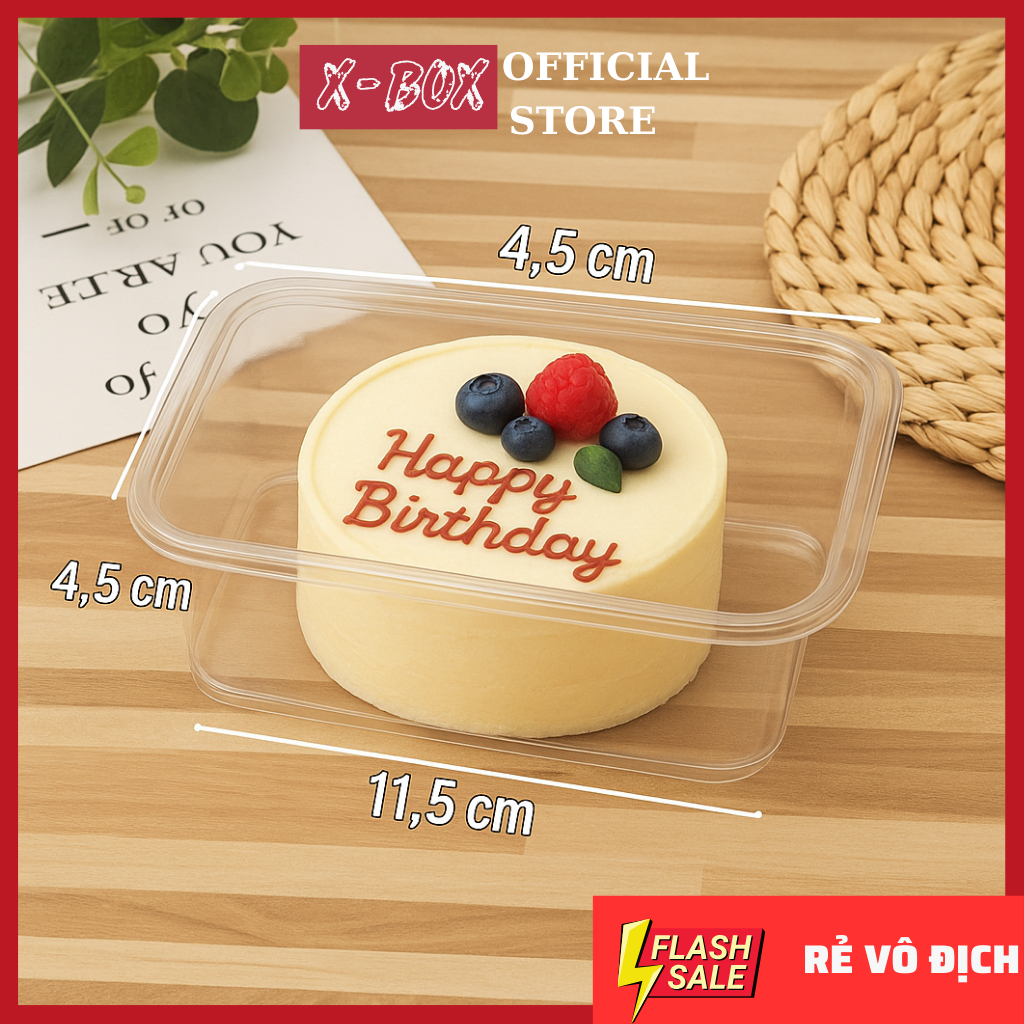 W2532 Rectangular Plastic Box for Cakes, Pastries, and Cold Cakes. Flan ...