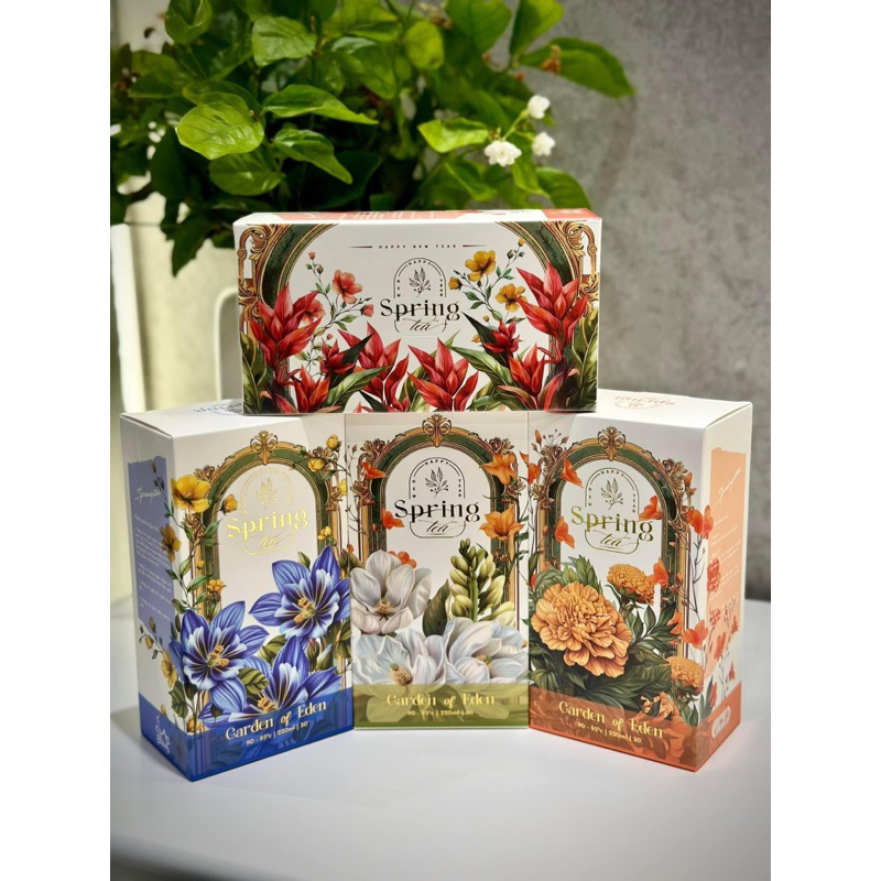 Spring garden tea box latest model 2026 | Shopee Singapore