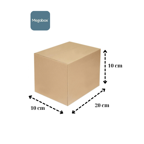 MG - 1 Carton Box 20x10x10 CM | Shopee Singapore