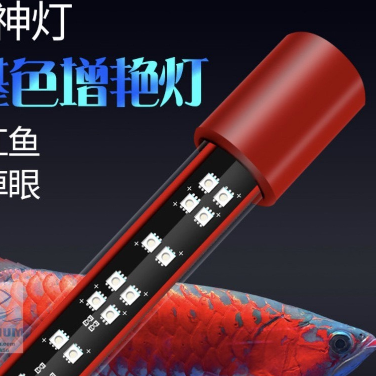 3rd GENERATION MAYIN SUPER COLOUR Arowana LED LIGHT SPECIALIZED FOR ...