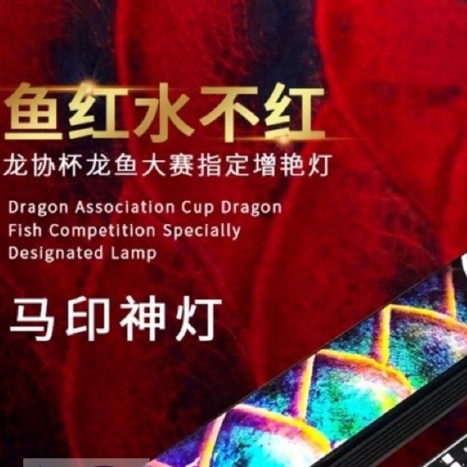 3rd GENERATION MAYIN SUPER COLOUR Arowana LED LIGHT SPECIALIZED FOR ...