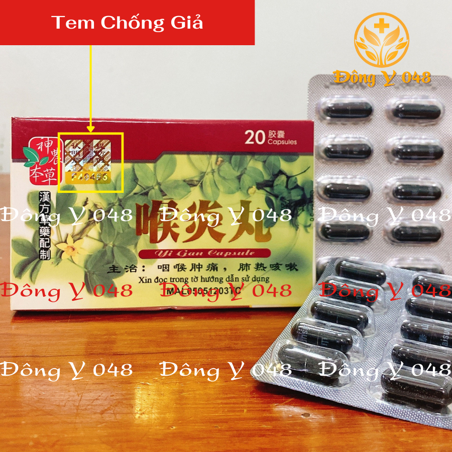Hau Viem Hoan Vi Box of 20 Tablets - Cough and Sore Throat Support ...