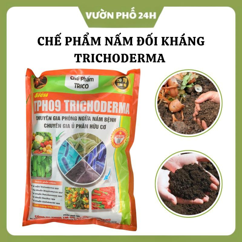 Trichoderma Antagonistic Mushroom Specializes in Composting Organic ...