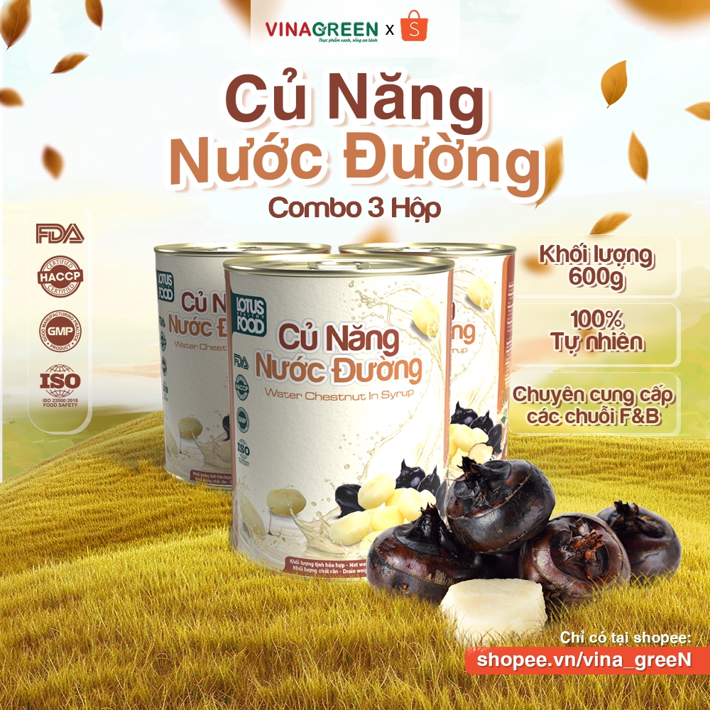 [3 Cans] Lotus Sugar Water Root 600g Cool, Convenient Topping, Mixing ...