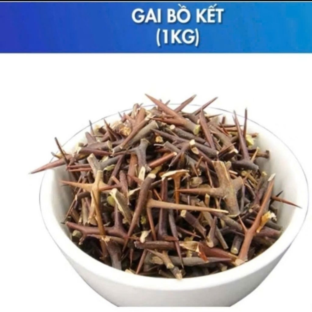 Locust thorns 1kg (loose bunch thorns, cluster thorns) | Shopee Singapore