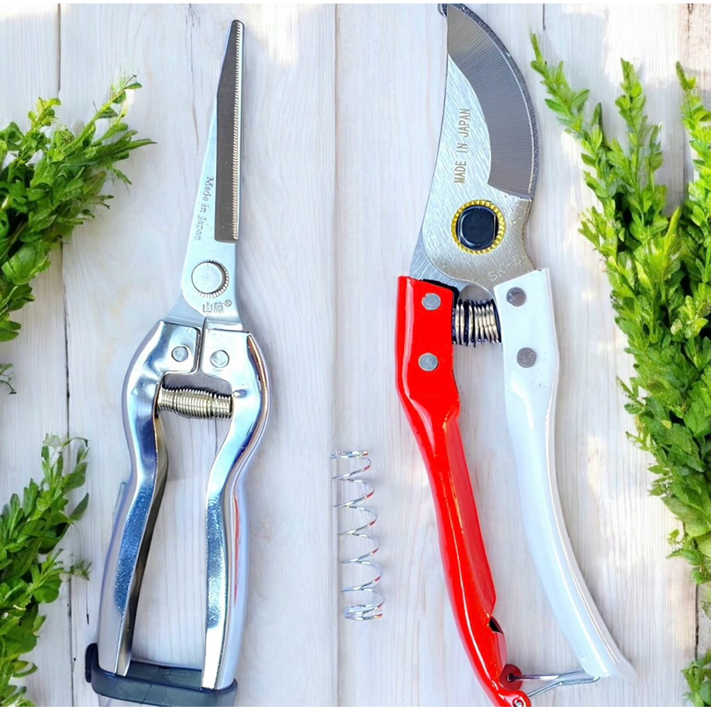 Combo of red and white scissors + 1-piece tree branch pruning scissors ...