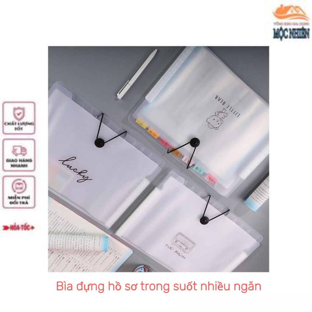 Transparent file folder with many compartments, holds A4 paper ...