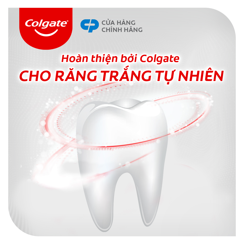 Set of 6 Natural Colgate Korean bamboo charcoal toothpaste deodorizing ...
