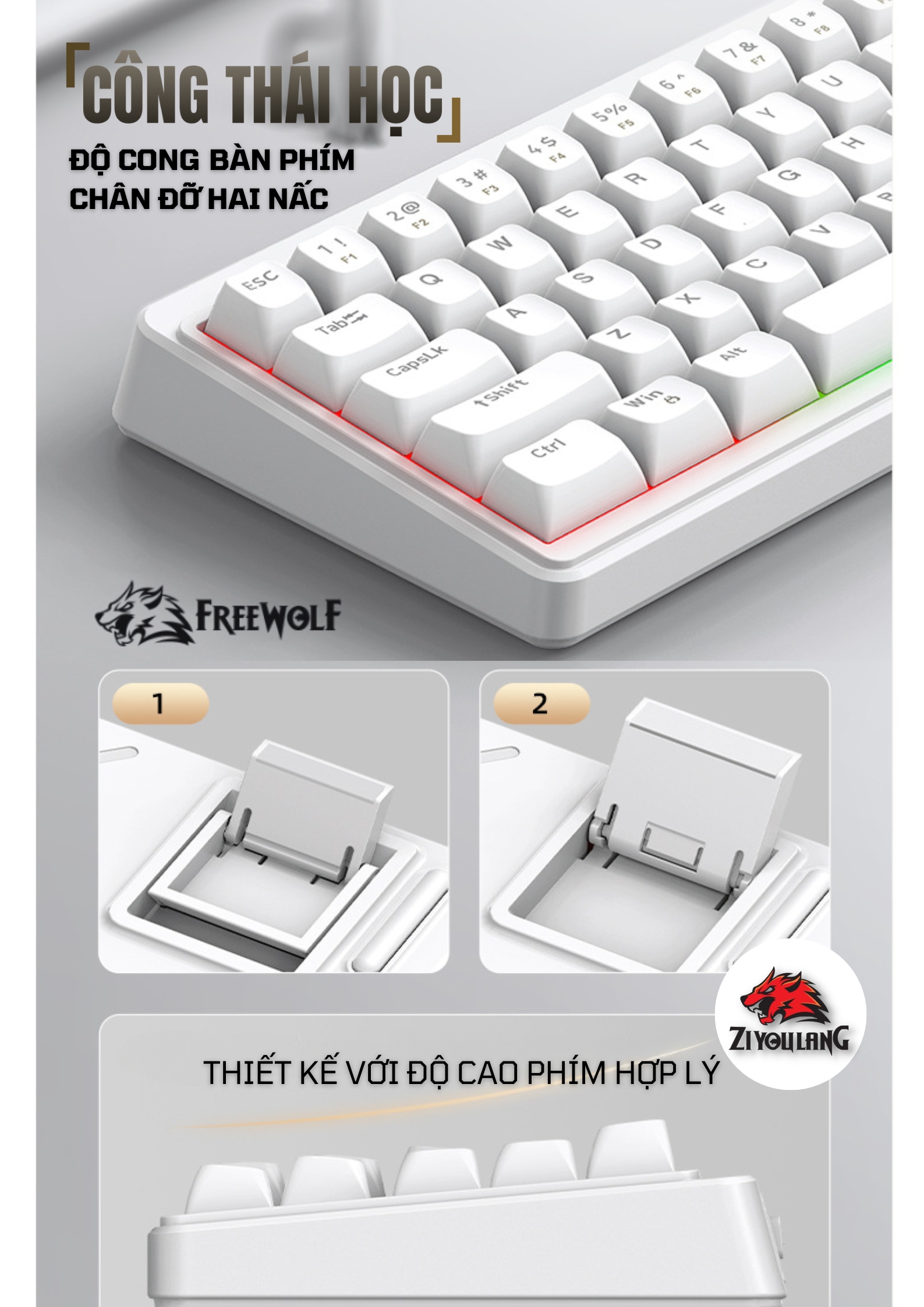Freewolf M68SE Mechanical Gaming Keyboard - 68 Compact Layout Keys, RGB ...