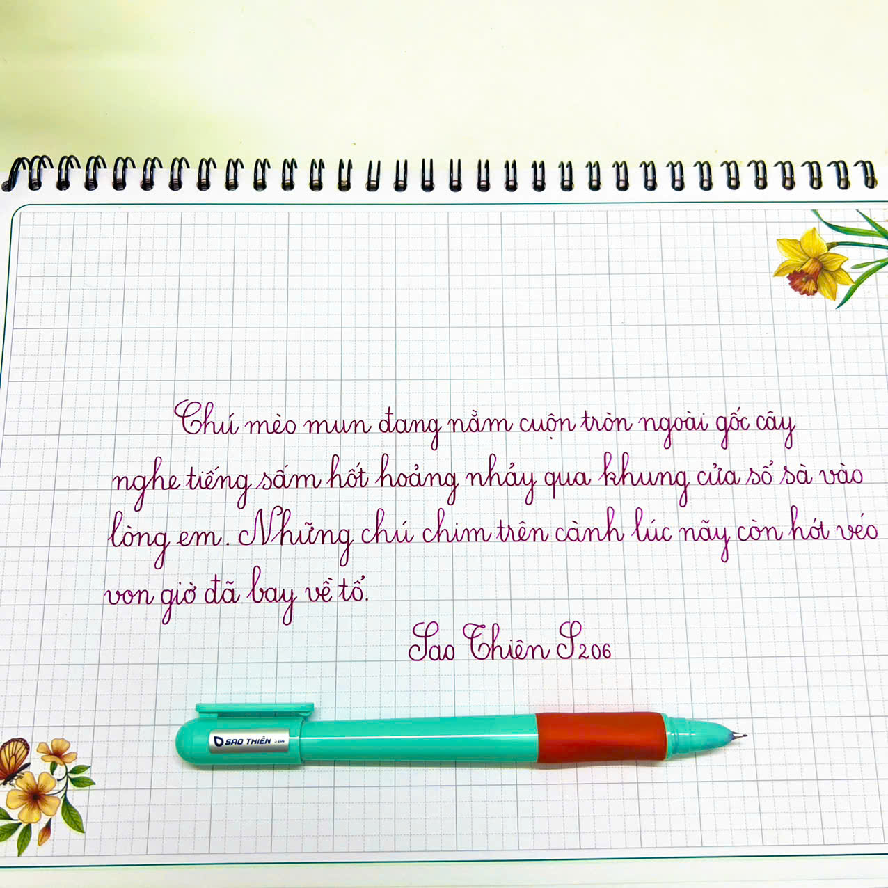 Beautiful handwriting pen Sao Thien S206 Fountain Pen with small ...